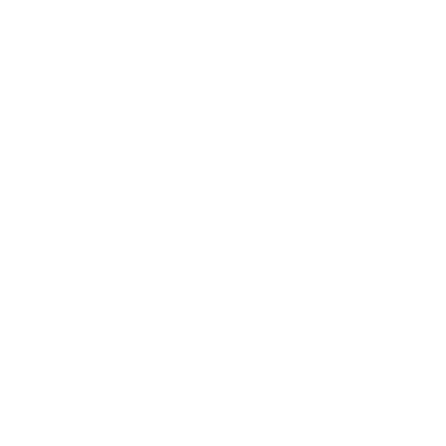 Wenzheng Paper